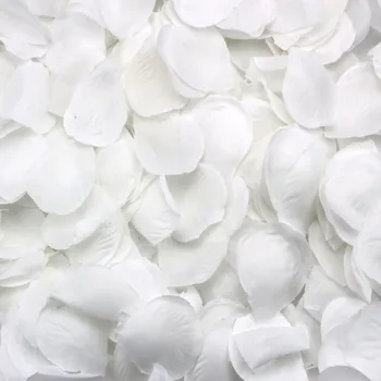 500 Лепестки роз разбросаны белым украшением Свадебная вечеринка