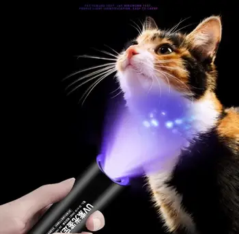 5W Мини-УФ-фонарик Ультрафиолетовый Blacklight USB Перезаряжаемый фиолетовый Linternas Ковер Детектор мочи домашних животных Поймать скорпионов
