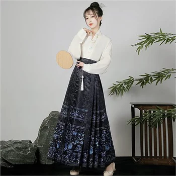 Hanfu Оригинальная китайская юбка с лошадиной мордой Китайская традиционная повседневная одежда Улучшенная древняя вышитая юбка династии Мин