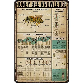 Lucu Logam Timah Tanda Madu Lebah Pengetahuan Anatomi Retro Logam Timah Tanda Antik Tanda Luar Ruangan Dalam Ruangan Dekorasi Pa