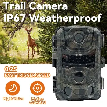 Wildlife Scouting 2,4-дюймовый экран Охотничья камера 28 МП 2.7K HD 0.2 с Время срабатывания 12 месяцев Время длительного ожидания IP67