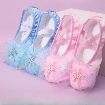 Прекрасная принцесса Танцевальная обувь Дети Девочки Балетные туфли с мягкой подошвой Китайский танец Тренировка тела Специальная обувь с кошачьими когтями